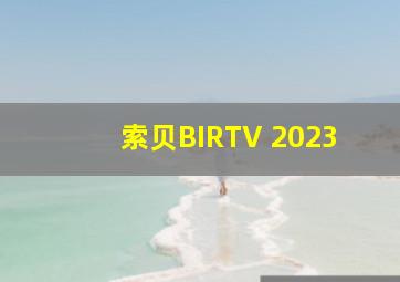 索贝BIRTV 2023